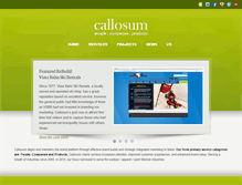 Tablet Screenshot of callosumcreative.com